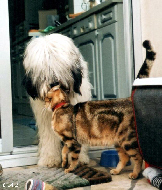 MAXOU et Ronny