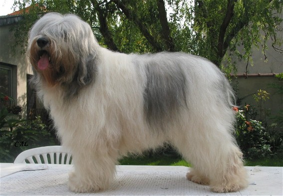 Ronny 7ans 1/2